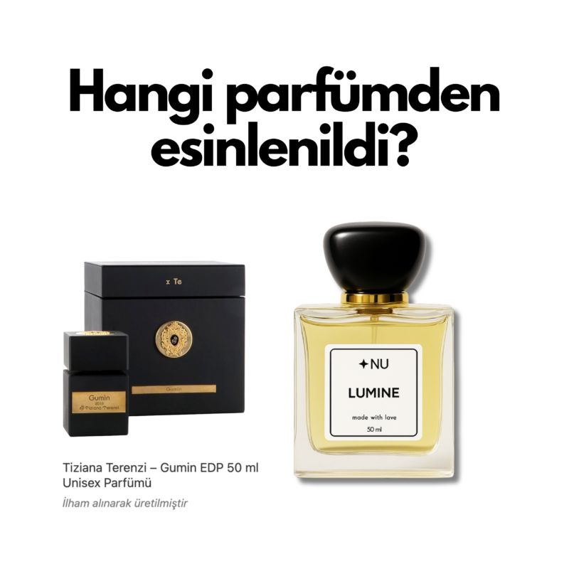 Lumine (Tiziana Terenzi - Gumin muadili) EDP 50 ml Unisex Parfümü - Görsel 4