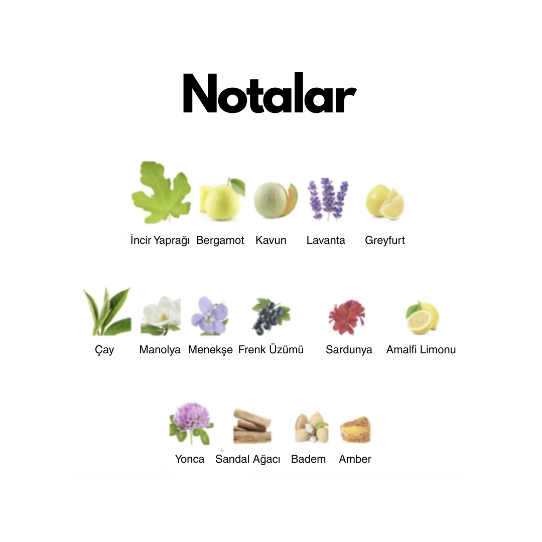 Goodoff (Davidoff - Good Life For Men muadili) 50 ml Erkek Parfümü - Görsel 2