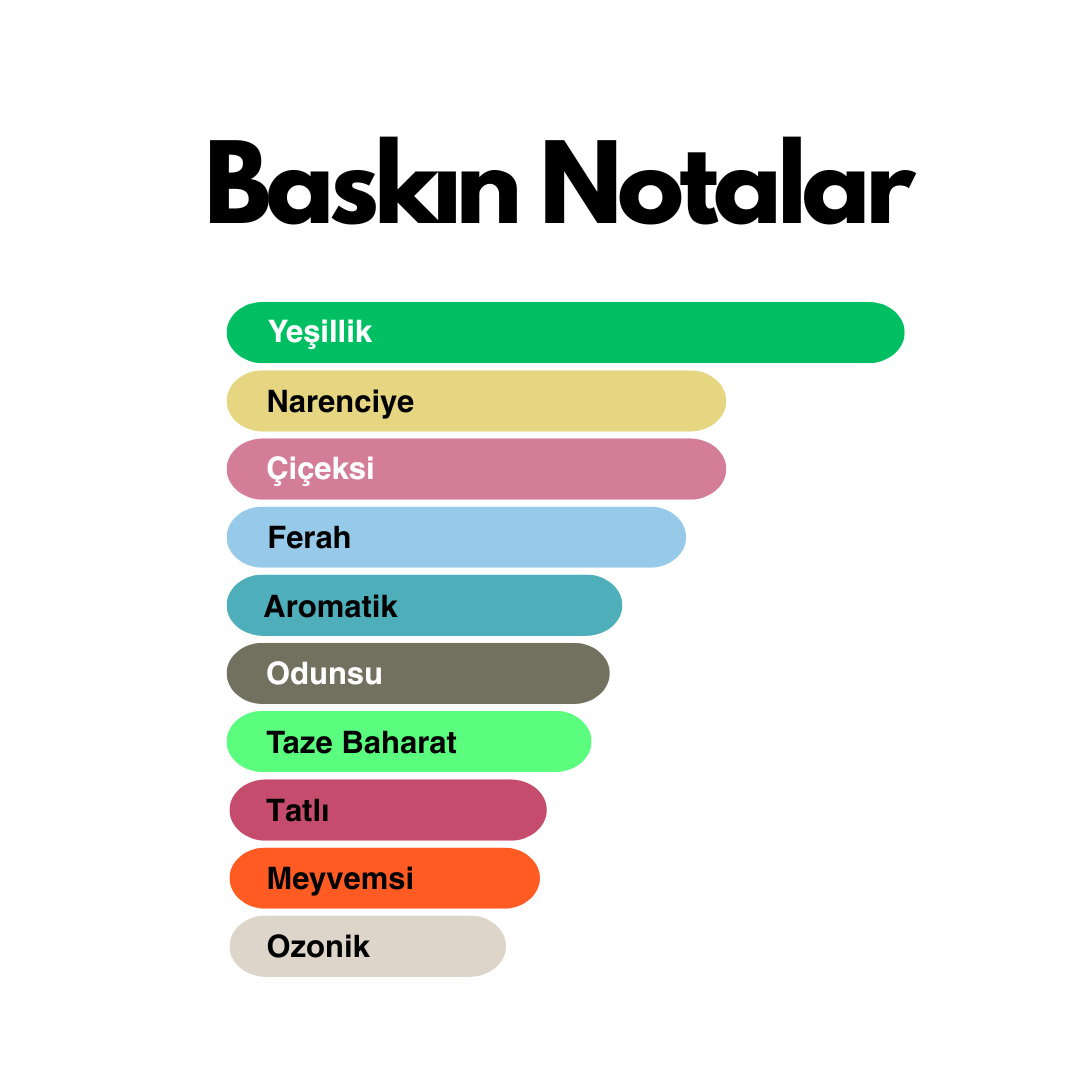 Goodoff (Davidoff - Good Life For Men muadili) 50 ml Erkek Parfümü - Görsel 3